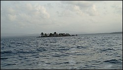 DSC04041.JPG